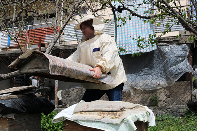Haykush Hovhannisyan, Aghavnadzor community Women's Group, working on her beehives. Green Lane is providing her group with more equipment to create sustainable income.
