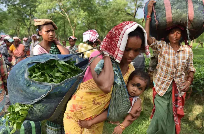 Women represent half of the workforce in the Assam tea estates, and many experience violence at home, while at work, and in public spaces. Photo: UN Women/Biju Boro.