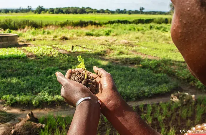 Women in the village of Fadiga, in the Kédougou region of Senegal, have worked for many years in agriculture. Photo: UN Women/Alioune Ndiaye.