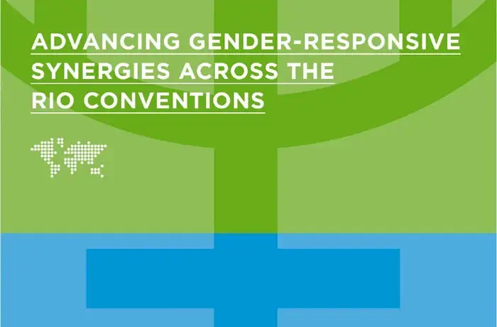 Advancing gender-responsive synergies across the Rio conventions: Gender equality at the intersection of climate action, biodiversity protection and sustainable land management