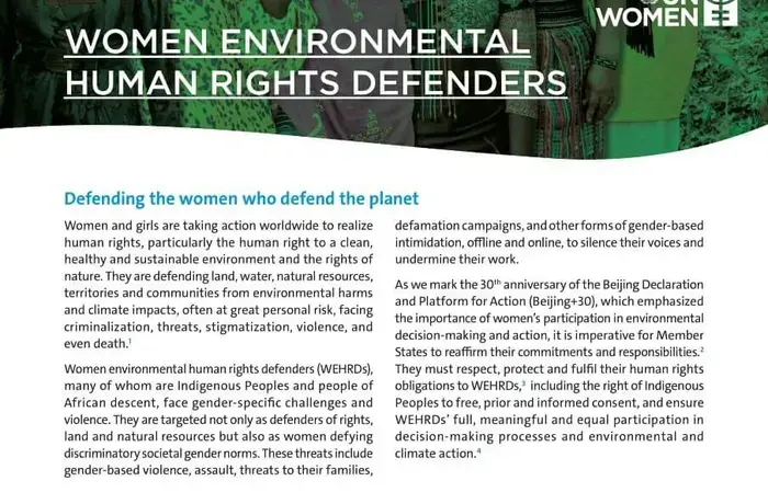Brief: Women environmental human rights defenders