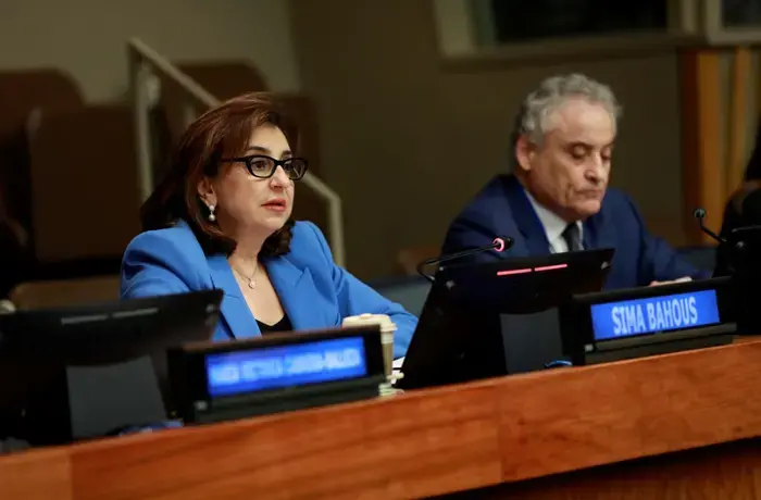 A woman in a blue blazer speaks at a microphone at UN headquarters