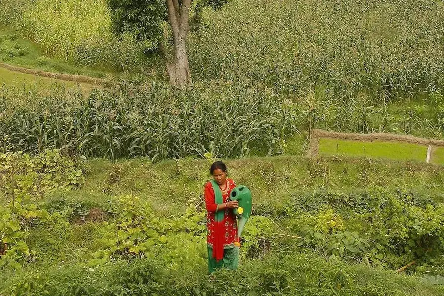 It will take 22 years to close SDG gender data gaps