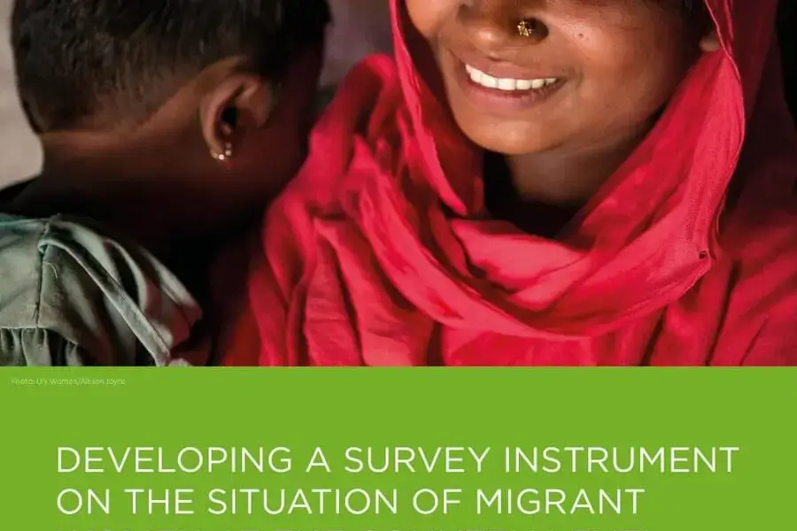 Developing a survey instrument on the situation of migrant women at the country level