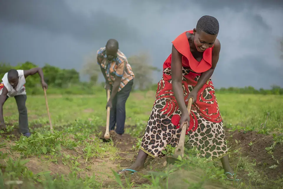 Women farmers are increasing agricultural productivity using techniques learned from UN Women. Photo: UN Women/Bennie Khanyizira