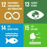 SDG icons 12 to 15