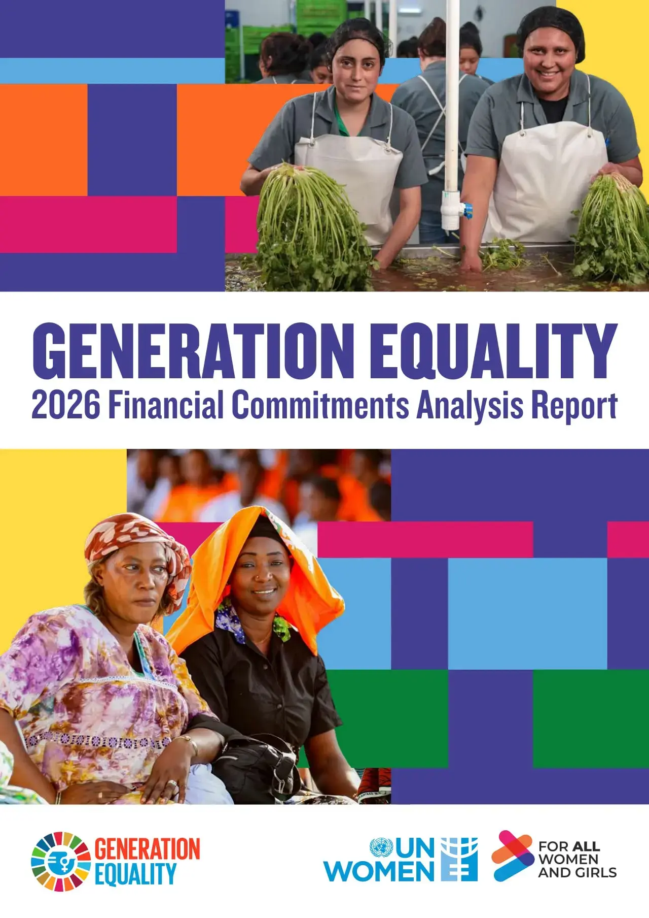 Publication's cover.