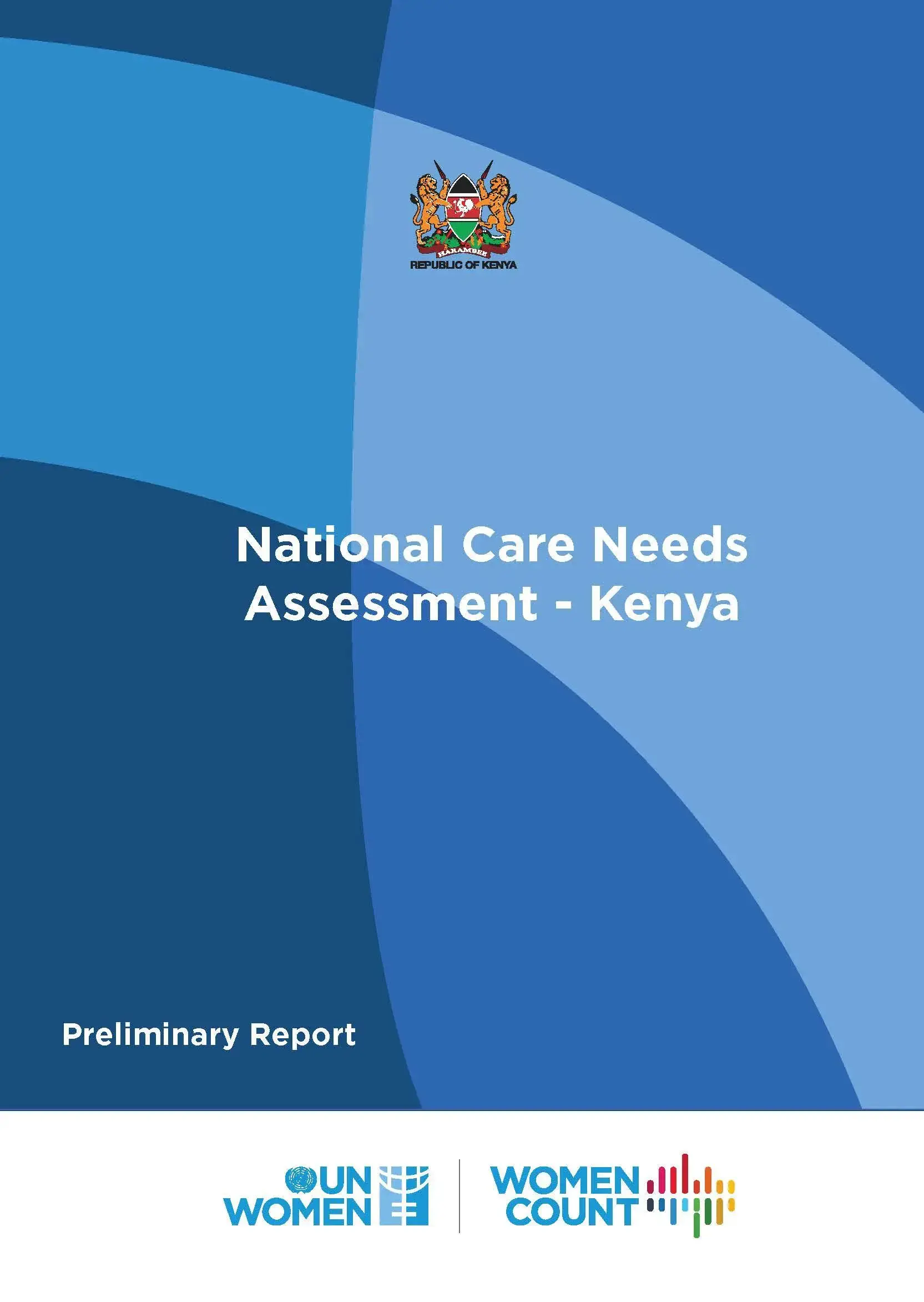 Kenya national care needs assessment cover image